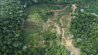 Fazenda / Sítio / Chácara à venda, 20000m² no Zona Rural, Marechal Floriano - Foto 5