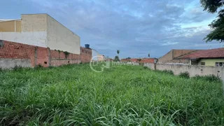 Terreno / Lote Comercial à venda, 3120m² no Vila Rica, Campo Grande - Foto 8