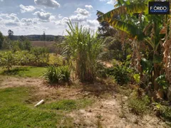 Fazenda / Sítio / Chácara com 2 Quartos à venda, 2000m² no Portão, Atibaia - Foto 17