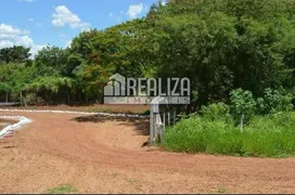 Fazenda / Sítio / Chácara com 3 Quartos à venda, 35000m² no Centro, Igarapava - Foto 23