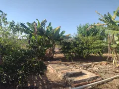 Fazenda / Sítio / Chácara com 4 Quartos à venda, 3000m² no Paranoá, Brasília - Foto 25