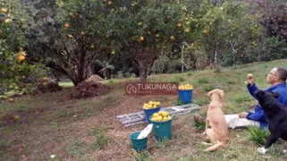 Fazenda / Sítio / Chácara com 3 Quartos à venda, 22000m² no Mogi das Cruzes, Mogi das Cruzes - Foto 10