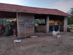 Fazenda / Sítio / Chácara com 2 Quartos à venda, 50m² no Zona Rural, Guareí - Foto 21