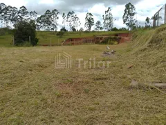 Terreno / Lote Comercial à venda, 1500m² no , Santa Branca - Foto 12