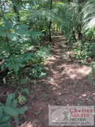 Fazenda / Sítio / Chácara com 4 Quartos à venda, 5000m² no Zona Rural, Indiara - Foto 15