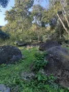 Terreno / Lote / Condomínio à venda, 10000m² no Guaratiba, Rio de Janeiro - Foto 21