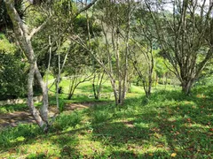 Fazenda / Sítio / Chácara com 4 Quartos à venda, 1900m² no São Roque, São Roque - Foto 12