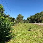 Fazenda / Sítio / Chácara com 3 Quartos à venda, 140m² no Zona Rural, Juquiá - Foto 3