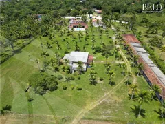 Fazenda / Sítio / Chácara com 17 Quartos à venda, 393m² no Centro, Goiana - Foto 4