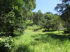 Fazenda / Sítio / Chácara com 1 Quarto à venda, 150000m² no Rural, Extrema - Foto 45