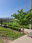 Terreno / Lote / Condomínio à venda, 380m² no Jardins Nápoles, Senador Canedo - Foto 11