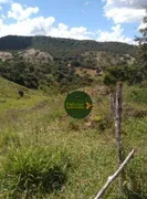 Fazenda / Sítio / Chácara com 2 Quartos à venda, 484000m² no Zona Rural, Heitoraí - Foto 15