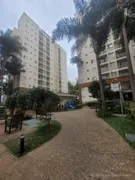 Apartamento com 3 Quartos à venda, 63m² no Jardim das Vertentes, São Paulo - Foto 29
