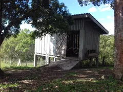 Casa Comercial à venda, 45824m² no Areia Branca dos Assis, Mandirituba - Foto 8