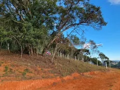 Fazenda / Sítio / Chácara com 2 Quartos à venda, 5000m² no , Cambuí - Foto 4