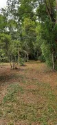 Fazenda / Sítio / Chácara com 2 Quartos à venda, 8200m² no Zona Rural, Pilar do Sul - Foto 4