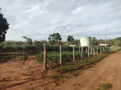 Fazenda / Sítio / Chácara com 3 Quartos à venda, 5000m² no Area Rural do Paranoa, Brasília - Foto 5