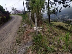 Terreno / Lote / Condomínio à venda, 520m² no Cônego, Nova Friburgo - Foto 10