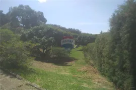 Fazenda / Sítio / Chácara com 4 Quartos à venda, 380m² no Santa Cecilia, Barbacena - Foto 6
