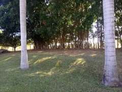 Fazenda / Sítio / Chácara com 5 Quartos à venda, 125000m² no Nova Colina, Brasília - Foto 19