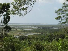 Terreno / Lote / Condomínio à venda, 8000m² no Piau, Tibau do Sul - Foto 3