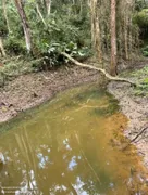 Fazenda / Sítio / Chácara com 4 Quartos à venda, 260m² no Centro, Nazaré Paulista - Foto 4