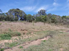 Fazenda / Sítio / Chácara à venda, 12160m² no Parque Mirante de Parnaiba, Santana de Parnaíba - Foto 13