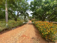 Fazenda / Sítio / Chácara com 6 Quartos à venda, 350m² no Vale Do Amanhecer, Igarapé - Foto 43