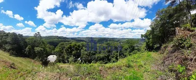 Terreno / Lote / Condomínio à venda, 3341m² no Linha 40, Caxias do Sul - Foto 2