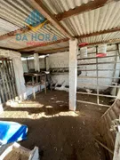 Galpão / Depósito / Armazém com 3 Quartos à venda, 120m² no Zona Rural, Macaíba - Foto 17