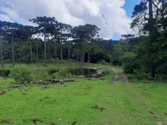 Terreno / Lote / Condomínio à venda no Contenda, São José dos Pinhais - Foto 5