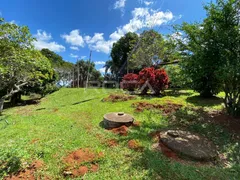 Fazenda / Sítio / Chácara com 3 Quartos à venda, 5999m² no Parque Itaipu, São Carlos - Foto 35