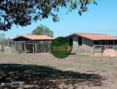 Fazenda / Sítio / Chácara com 2 Quartos à venda, 1887600m² no Zona Rural, Luziânia - Foto 7