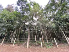 Terreno / Lote / Condomínio à venda no Vale das Videiras, Petrópolis - Foto 3