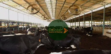 Fazenda / Sítio / Chácara à venda, 61710000m² no Rural, Extrema - Foto 10