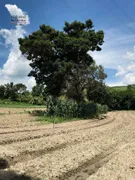 Fazenda / Sítio / Chácara com 3 Quartos à venda, 144000m² no Area Rural de Amparo, Amparo - Foto 17