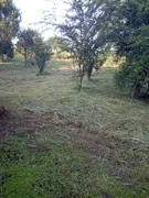 Fazenda / Sítio / Chácara à venda, 10000m² no Zona Rural, Bonfinópolis - Foto 5