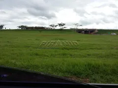 Terreno / Lote Comercial à venda, 145200m² no Adelino Simioni, Ribeirão Preto - Foto 4