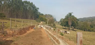 Fazenda / Sítio / Chácara com 3 Quartos à venda, 80m² no Area Rural de Capao Bonito, Capão Bonito - Foto 14