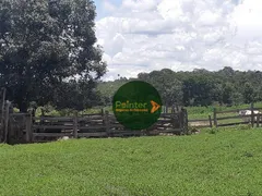 Fazenda / Sítio / Chácara com 4 Quartos à venda, 14800000m² no Zona Rural, Paranatinga - Foto 9