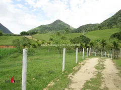 Fazenda / Sítio / Chácara com 4 Quartos à venda, 183000m² no Zona Rural, Rio Bonito - Foto 22