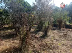 Terreno / Lote / Condomínio à venda, 1300m² no Previdenciários, Juiz de Fora - Foto 11