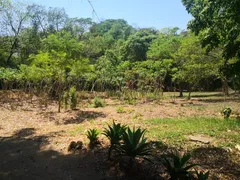 Fazenda / Sítio / Chácara com 3 Quartos à venda, 24200m² no Recreio Floresta, Jaguariúna - Foto 13