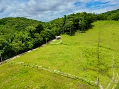 Fazenda / Sítio / Chácara com 2 Quartos à venda, 80m² no Zona Rural, Jacupiranga - Foto 23