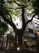 Apartamento com 1 Quarto à venda, 65m² no Bela Vista, Porto Alegre - Foto 4