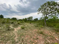 Fazenda / Sítio / Chácara com 4 Quartos à venda, 144000m² no Zona Rural, Faina - Foto 41