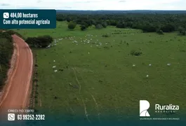 Fazenda / Sítio / Chácara à venda, 484m² no Zona Rural, Goianorte - Foto 1