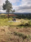 Fazenda / Sítio / Chácara à venda, 270000m² no Chácara Rincao, Cotia - Foto 1