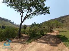Fazenda / Sítio / Chácara com 2 Quartos à venda, 660000m² no Zona Rural, Santa Bárbara - Foto 3