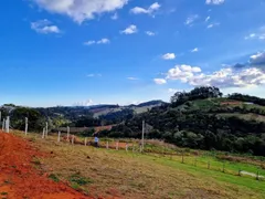 Fazenda / Sítio / Chácara com 2 Quartos à venda, 5000m² no , Cambuí - Foto 2